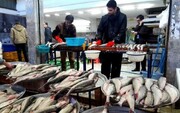 قیمت انواع ماهی در هفته پایانی خردادماه/ این ماهی کیلویی ۹۹۰ هزار تومان قیمت خورد